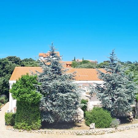 הוילה מאנדרה Lavender House מראה חיצוני תמונה