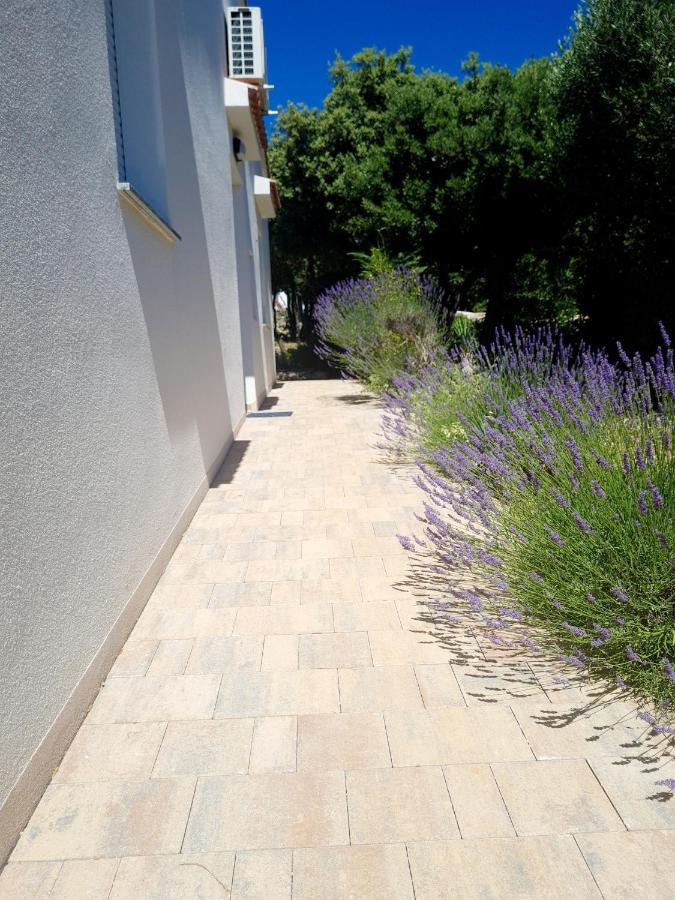 הוילה מאנדרה Lavender House מראה חיצוני תמונה